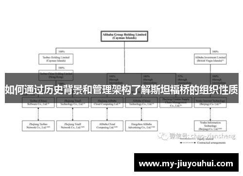 如何通过历史背景和管理架构了解斯坦福桥的组织性质